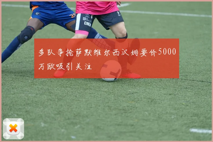 多队争抢萨默维尔西汉姆要价5000万欧吸引关注